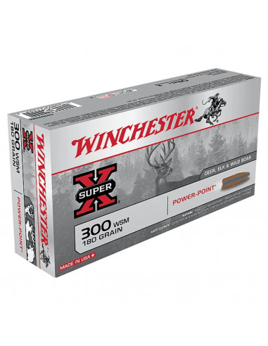 Super X 300 WINCHESTER Court Magnum 180 Grain...