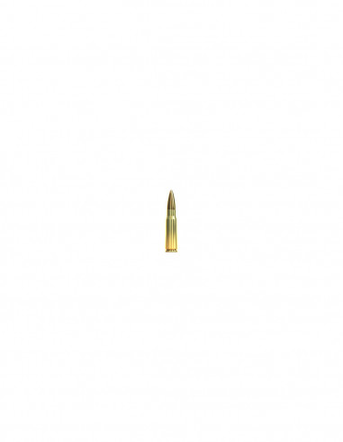 Cartouches SB 762x39 FMJ 124gr x50