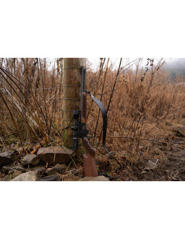 Smith & Wesson  1854  Bois