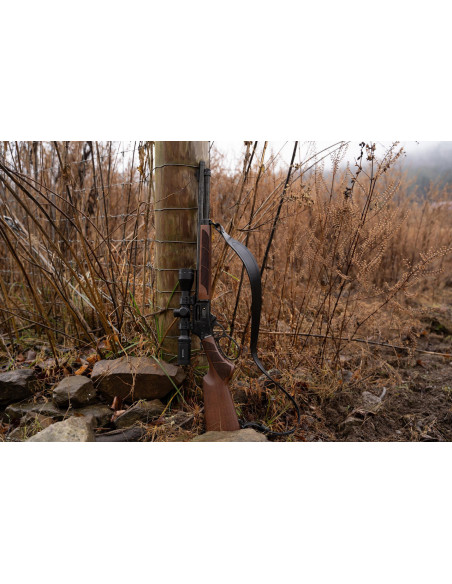 Smith & Wesson  1854  Bois