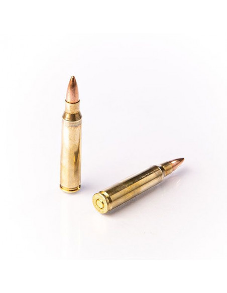 FIOCCHI  223 Rem FMJ 55gr