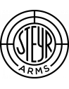 STEYR ARMS